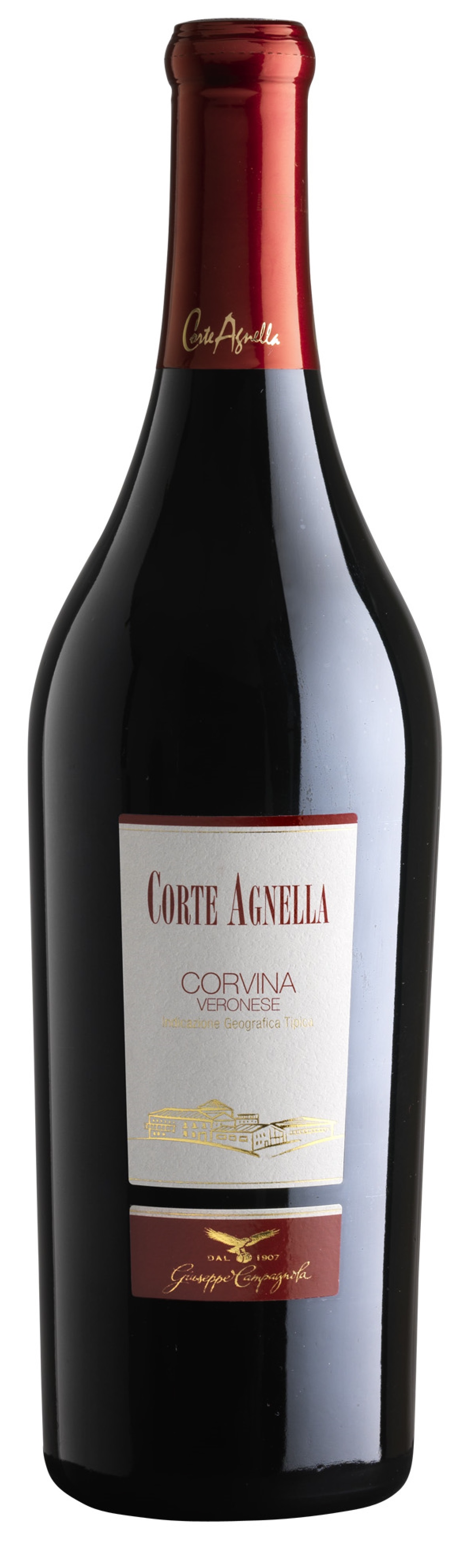 Corvina veronese IGT 